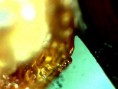/album/galerie-de-photos-page-daccueil/dissection-2-sans-outil-jpg1/